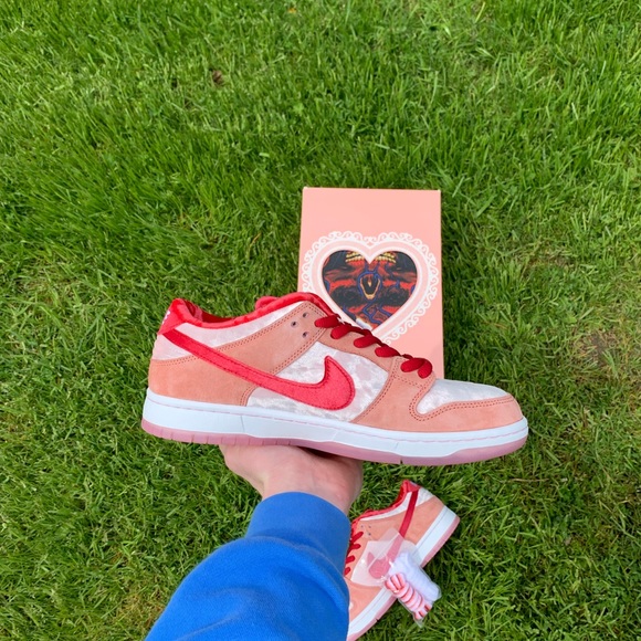 Size 10 DS special Edition box nike dunk sb lows - Picture 4 of 6